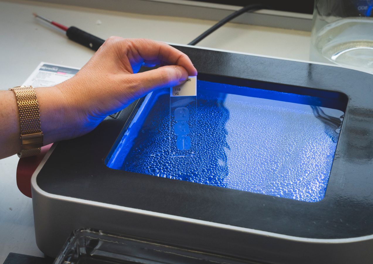 Examination of a slide under a UV transilluminator.